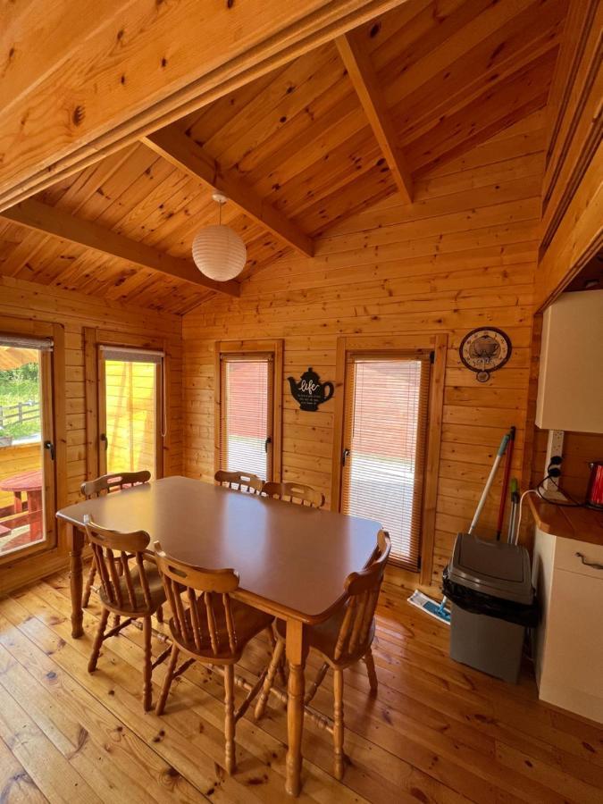 Red Robin Nest Apartment Голуей Екстериор снимка