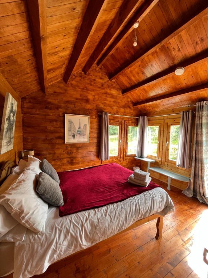 Red Robin Nest Apartment Голуей Екстериор снимка