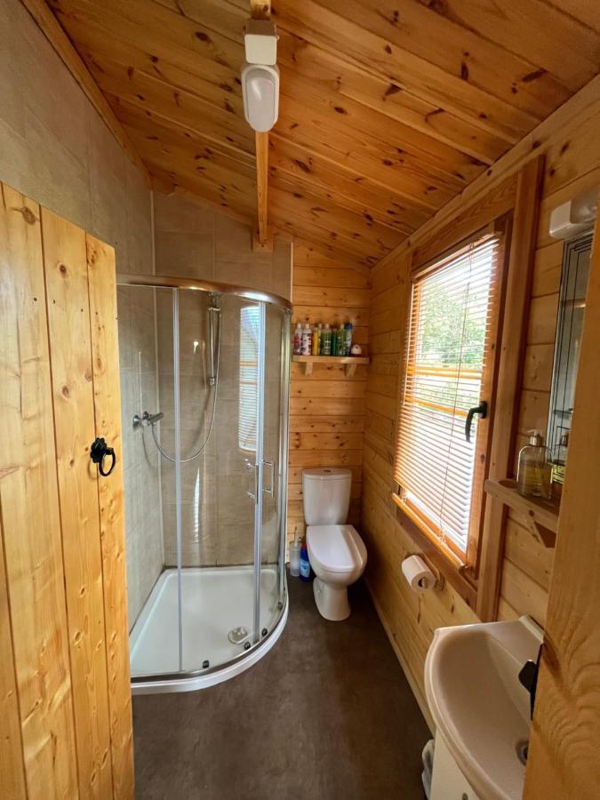 Red Robin Nest Apartment Голуей Екстериор снимка